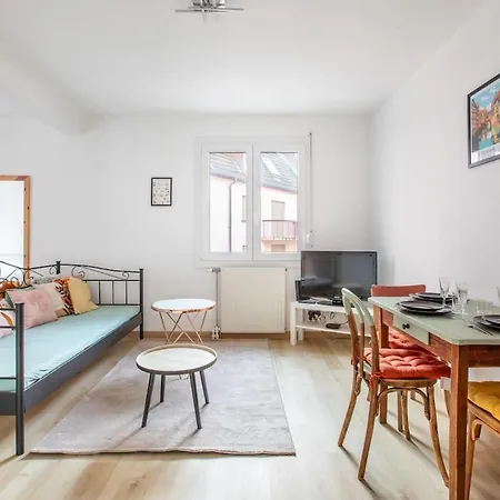 Nouveau - Le Cigogneau - Colmar Centre - Ascenseur Appartement