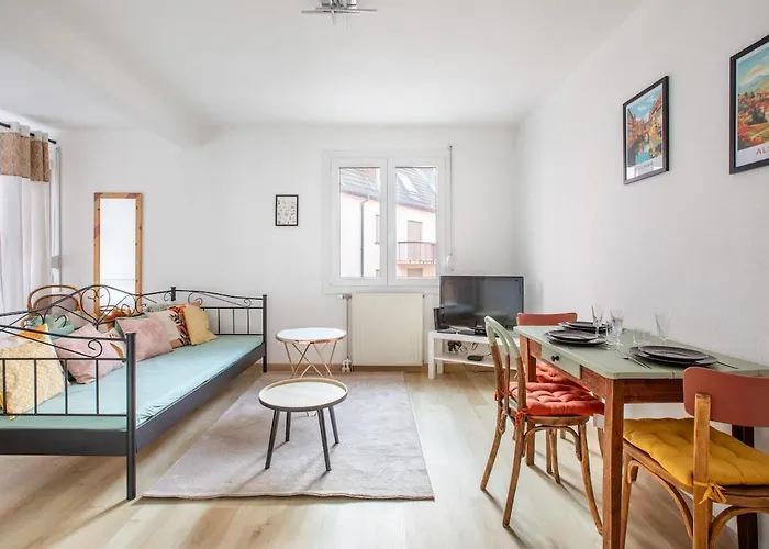 Nouveau - Le Cigogneau - Colmar Centre - Ascenseur Appartement