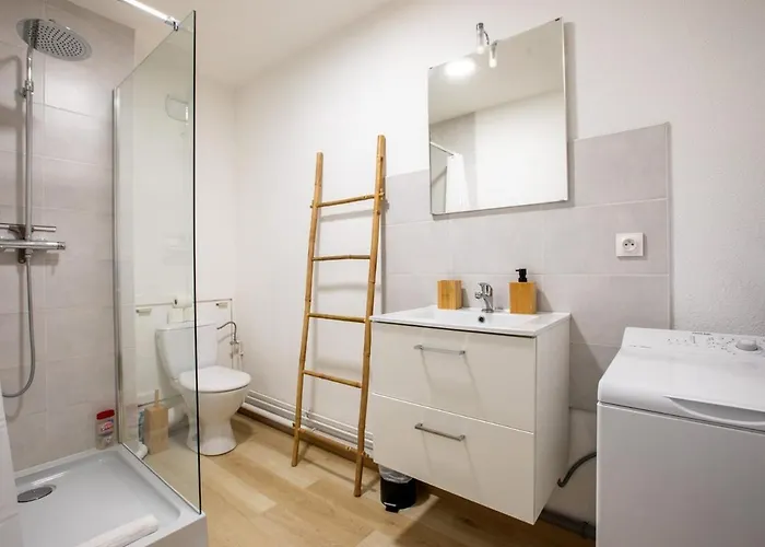 Nouveau - Le Cigogneau - Colmar Centre - Ascenseur * Colmar