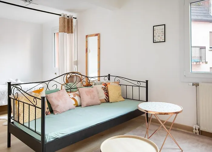 Nouveau - Le Cigogneau - Colmar Centre - Ascenseur Appartement