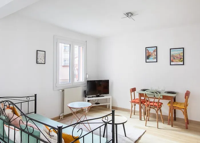 Nouveau - Le Cigogneau - Colmar Centre - Ascenseur Appartement Colmar