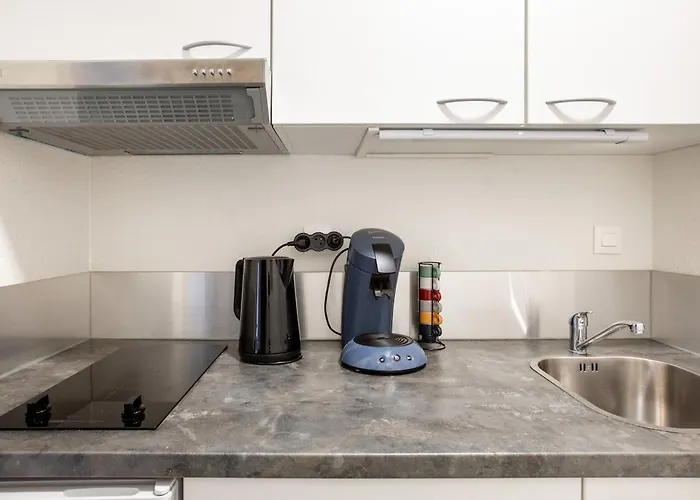 Nouveau - Le Cigogneau - Colmar Centre - Ascenseur Colmar