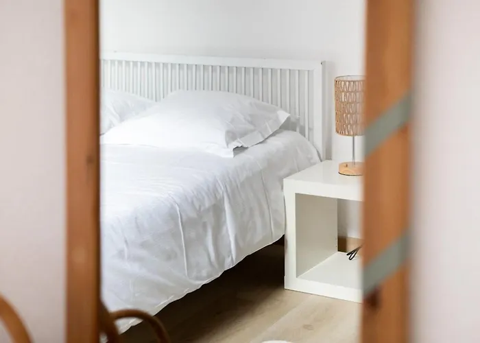 Nouveau - Le Cigogneau - Colmar Centre - Ascenseur Appartement Colmar